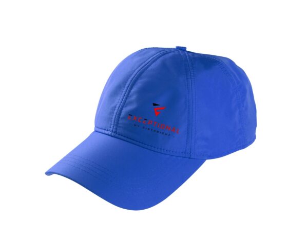 Classic Baseball Cap